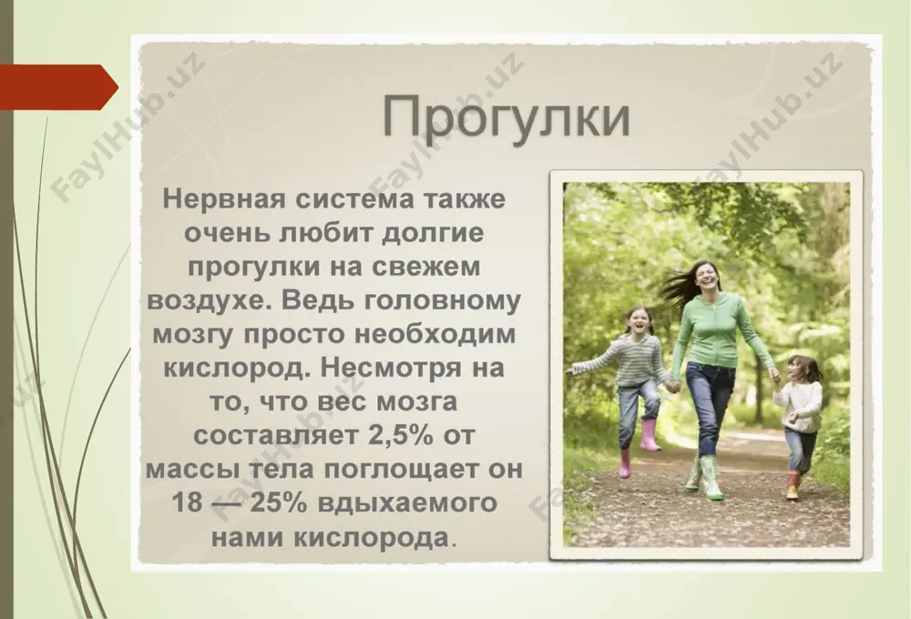 важность нервной системы и гигиена - Page 4