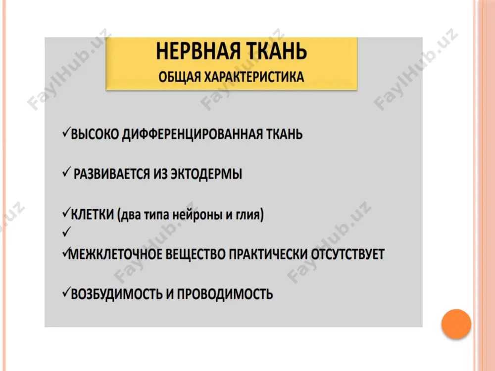 оисходит сокращение мышцы или повышение ее тонуса. при внезапном (быстром) растяжении мышцы (например, при резком движении) афферентная импульсация возникает только в первичных нервных волокнах, а при медленном и длительном растяжении (например, при стоянии в неудобном положении) и в первичных, и во вторичных волокнах. принцип работы веретена image2.jpeg image3.jpeg image4.png image5.jpeg image6.jpeg image7.jpeg image8.jpeg image9.jpeg image10.jpeg image11.jpeg image12.png image13.jpeg image14.jpeg image15.jpeg image16.jpeg image17.jpeg image18.png image19.png image20.jpeg image21.jpeg image22.jpeg image23.jpeg image24.jpeg image25.jpeg image26.jpeg image27.png image28.jpeg image29.jpeg image30.png image31.png image32.jpeg image33.png image34.jpeg image35.jpeg image36.png image37.jpeg image38.jpeg image39.jpeg image40.jpeg image41.jpeg image42.jpeg image43.jpeg image44.jpeg image45.jpeg image46.jpeg image47.jpeg image48.jpeg image49.png image50.png image51.jpeg image52.jpeg image53.jpeg image54.jpeg image55.jpeg image56.jpeg image57.png image58.png image59.jpeg image60.gif image61.jpeg image62.jpeg image63.jpeg image64.png image65.jpeg image66.jpeg image67.jpeg image68.jpeg image69.jpeg image70.png image71.jpeg image72.jpeg image73.png image74.jpeg image75.jpeg image76.png image77.jpeg image78.jpeg image79.jpeg image80.jpeg image81.png image82.jpeg image83.jpeg image84.jpeg image85.png image86.png print /docprops/thumbnail.jpeg
