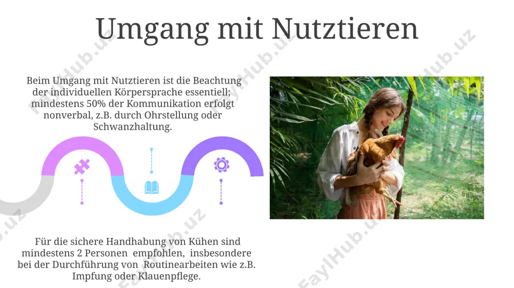 tierwelt: umgang mit tieren - Page 5