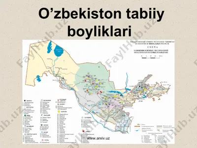 o’zbеkistоn tаbiiy bоyliklаri — PPT
