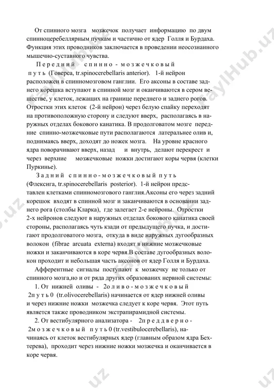 мозжечок получает информацию по двум спинноцеребеллярным пучкам и частично от ядер голля и бурдаха. функция этих проводников заключается в проведении неосознанного мышечно-суставного чувства. п е р е д н и й с п и н н о - м о з ж е ч к о в ы й п у т ь (говерса, tr.spinocerebellaris anterior). 1-й нейрон расположен в спинномозговом ганглии. его аксоны в составе зад- него корешка вступают в спинной мозг и оканчиваются в сером ве- ществе, у клеток, лежащих на границе переднего и заднего рогов. отростки этих клеток (2-й нейрон) через белую спайку переходят на противоположную сторону и следуют вверх, располагаясь в на- ружных отделах бокового канатика. в продолговатом мозге перед- ние спинно-мозжечковые пути располагаются латеральнее олив и, поднимаясь вверх, доходят до ножек мозга. на уровне красного ядра поворачивают вверх, назад и внутрь, делают перекрест и через верхние мозжечковые ножки достигают коры червя (клетки пуркинье). з а …