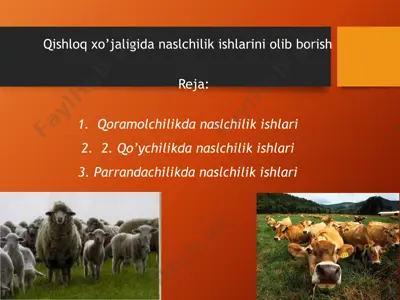 qishloq xo’jaligida naslchilik ishlarini olib borish — PPTX