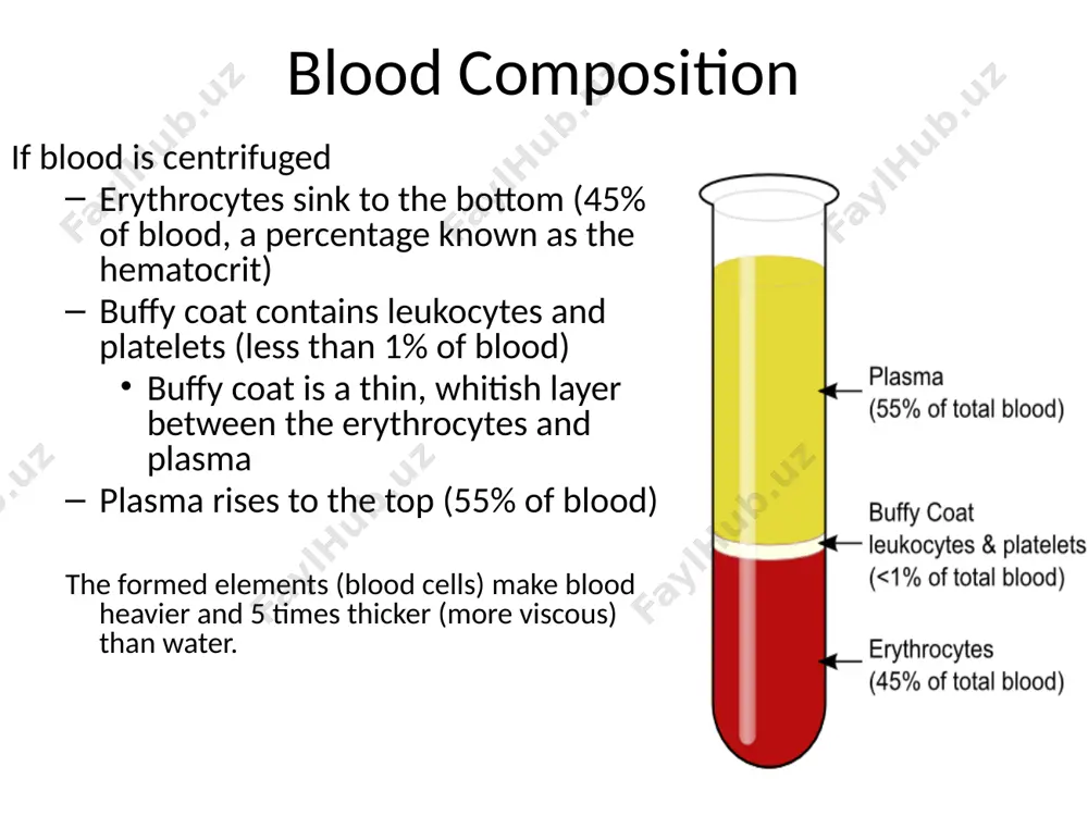"blood: the river of life" - Page 4