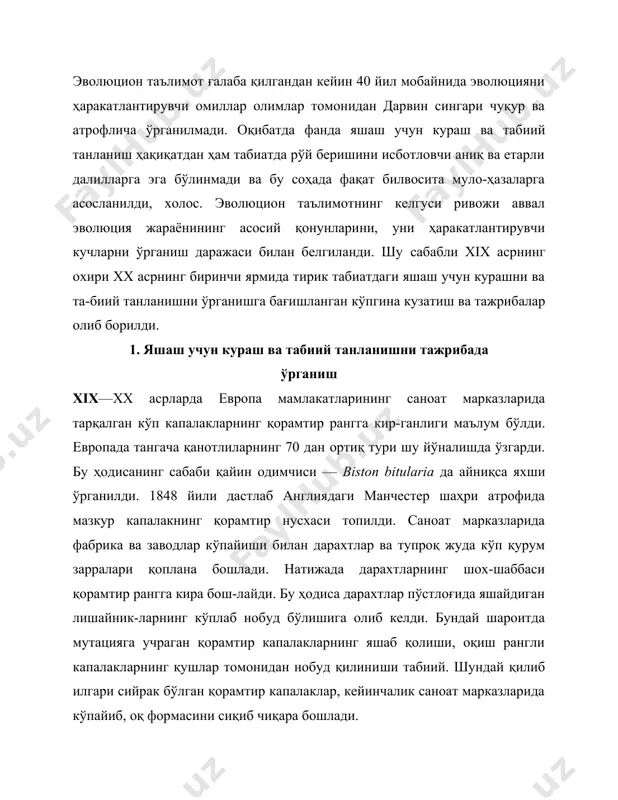абиий. шундай қилиб илгари сийрак бўлган қорамтир капалаклар, кейинчалик саноат марказларида кўпайиб, оқ формасини сиқиб чиқара бошлади. олиб борилган кузатишлардан ҳашаротхўр қушлар саноат марказларида оқ капалакларни, у ерлардан узоқроқ жойларда қорамтир капалакларни тутиб ейиши маълум бўлди. ҳозирги вақтда англияда қайин одимчиси капалагининг 2 хил формаси мавжуд. типик формадаги капалак популяциялари мамлакат-нинг шарқидаги қншлоқ хўжалик районларида, қорамтир фор-маси эса ғарбдаги саноат марказларида кенг тарқалган. гене-тик тадқиқотлар капалакларда қорамтир ранг доминант генига боғлиқлигини кўрсатди. бу типик оқ форма билан қорамтир-меланистик форма чатиштирилганда, қорамтир форманинг до-минантлик қилишида аниқланди (30-расм). кеттлуэлл саноат марказларида қайин одимчиси капалаги-нинг қорамтир формалари кўплаб учрашига сабабчи омилни типик оч тусли форма меланистик форм аниқлашни ўз олдига мақсад қилиб қўйди. у олиб борган кузатишларга кўра, баъзи қушлар (узунқуйруқ, фотма-чумчуқ, деҳқончумчуқ, қораялоқ, қизилқуйруқлар) қурум босган жойлардаги қайин одимчи капалагининг оқ фор-маларини қорамтир форма-ларга нисбатан 2 мартаданор-тиқ, аксинча, қурум босмаган жойларда қора формаларни оқ формаларга нисбатан 2,9 марта кўп қириши маълум бўлди. …
