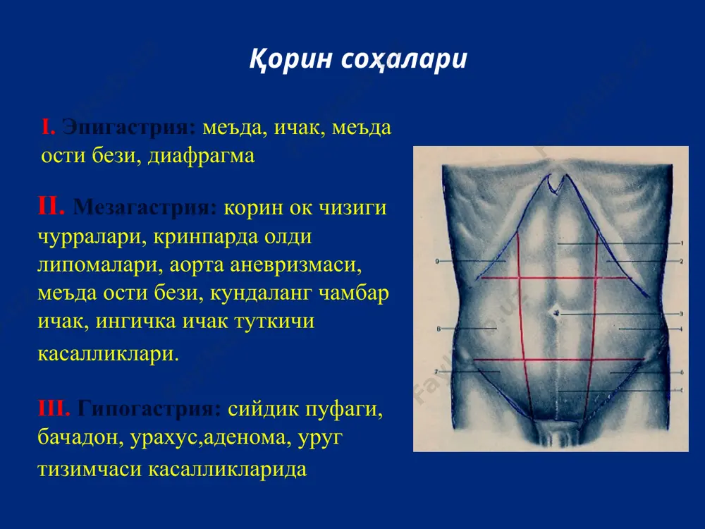 тонитда жаррохлик операциясининг вазифалари: корин бўшлиғини инфекцияланган манбани бартараф этиш; эссудат ва инфекцияланган материални (фибрин пардалир) олиб ташлаш; антисептик эритмалар билан қоринбўшли0ини механик тозалаш (ювиш). ичак декомпрессияси; қорин бўшлиғини дренажлаш; ташрихдан сўнгги жарохатни мустахкам бериктиш. ошкозон ярасини перфоратив тешилишини тикиш усули.сероз-мушак чок куйиш. «ўткир қорин» ташхиси куйилган беморларда хирург вазифалари: тезкор операция; операциядан олдинги тайёргарлик ва операция; консерватив даво (фаол кузатув, вена ичи инфузияси, антибиотиклар, огриксизлантирувчи хамда спазмолитик воситалар ва бошк.); уйга рухсат бериш. «ўткир қорин» ташхиси куйилган беморларда уаш вазифалари: беморни киска муддат ичида куриб, зарур булган текширувларни утказиб, дастлабки, тахминий ташхисни куйган холда зарур булган мутахассисга (хирург, терапевт, кардиолог, инфекционист, педиатр ва х.) йулланма бериш; «ўткир корин» синдромини истисно килсангиз даво ва текширув режасини тузиб, уз назоратингиз остида колдириш.