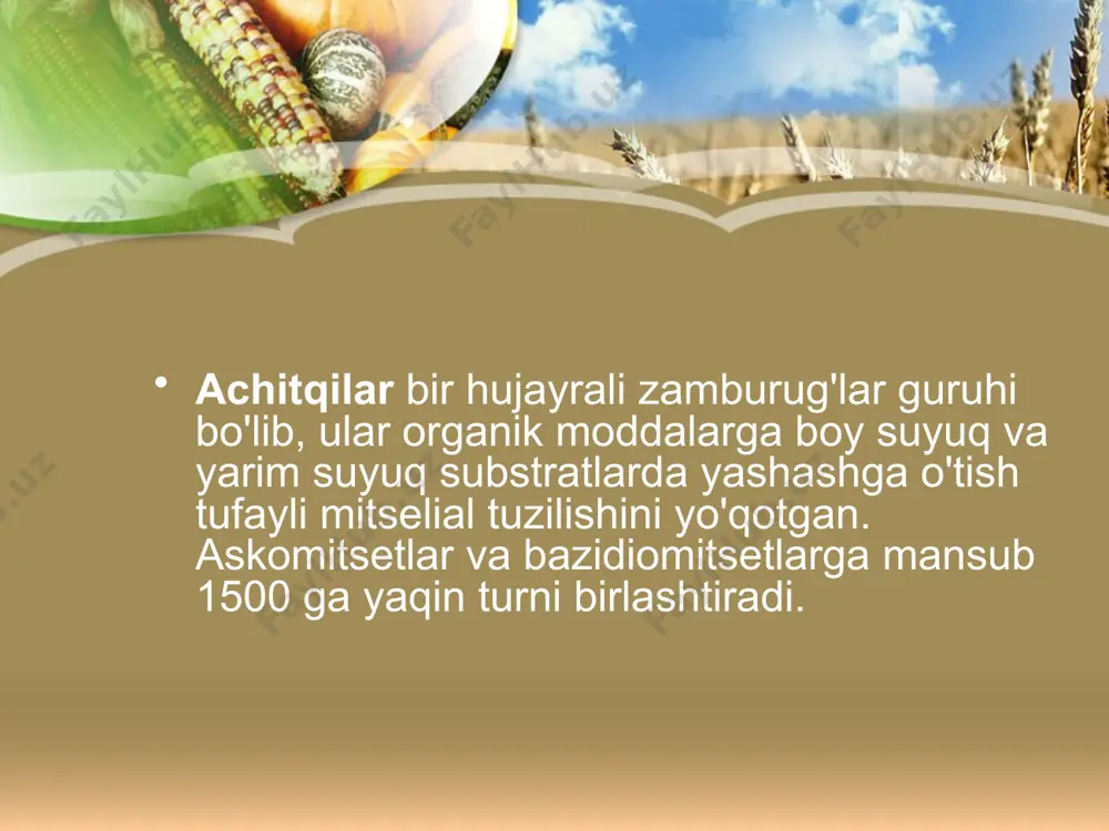 o'pchiligi hatto dastlab alohida turlar sifatida tasvirlangan. ular madaniy o'simliklarning navlari kabi inson faoliyatining bir xil mahsulotidir. hikoya 1680 yilda golland tabiatshunosi antoni van levenguk birinchi marta optik mikroskopda achitqilarni ko'rdi, lekin harakat yo'qligi sababli ularni tirik organizm sifatida tan olmadi. faqat 1857 yilda frantsuz mikrobiologi lui paster alkogolli fermentatsiya ilgari o'ylangandek, shunchaki kimyoviy reaktsiya emas, balki achitqilar tomonidan ishlab chiqarilgan biologik jarayon ekanligini isbotladi. metabolizmaning xususiyatlari achitqilarlar miksotroflar bo'lib, energiya uchun ham, uglerod manbai sifatida ham organik birikmalardan foydalanadilar. ular nafas olish uchun kislorodga muhtoj, ammo u yo'q bo'lganda, ko'plab turlar spirtli ichimliklarni chiqarish bilan fermentatsiya orqali energiya olishga qodir. havo fermentatsiya qiluvchi substratdan o'tganda, achitqilar fermentatsiyani to'xtatadi va nafas olishni boshlaydi (chunki bu jarayon samaraliroq), kislorodni iste'mol qiladi va karbonat angidridni chiqaradi. bu achitqilar hujayralarining o'sishini tezlashtiradi. biroq, kislorodga kirish bilan ham, muhitda glyukoza miqdori yuqori bo'lsa, achitqilar uni achitishni boshlaydi. qaydlar mixotroflar turli xil uglerod va energiya …