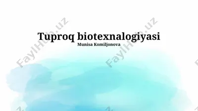 tuproq biotexnalogiyasi — PPTX