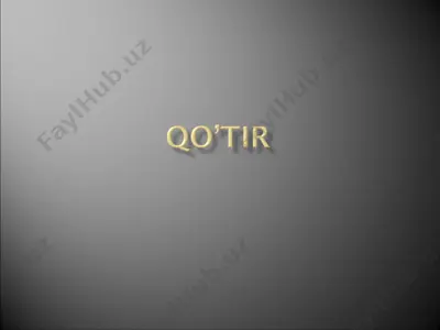 qo’zg’atuvchisi sarcoptes — PPT