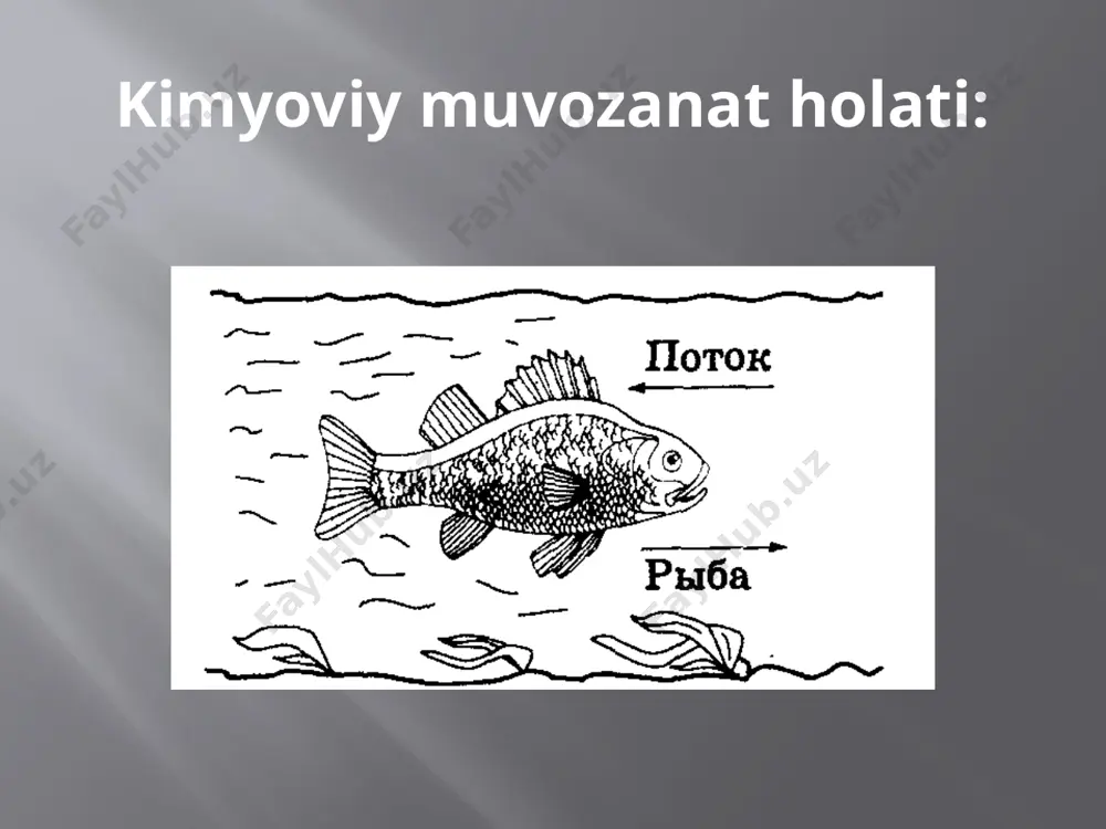 kimyoviy muvozanatga ta’sir etuvchi omillar - Page 2
