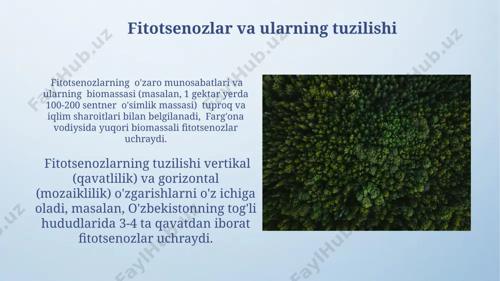 vullar va qamishzorlar, suv resurslari muhofazasi va choʻl ekologiyasining muhim tarkibiy qismidir. antropogen omillar va oʻsimlik qoplami amazon oʻrmonlarining kesilishi natijasida 2022 yilda 10 million gektardan ortiq hudud oʻsimlik qoplamidan mahrum boʻldi, bu antropogen ta’sirning global miqyosdagi salbiy oqibatlarini namoyish etadi. antropogen ta’sir, xususan, sanoat korxonalarining ifloslantiruvchi chiqindilari, toshkent viloyatining janubiy qismlarida 30% ga yaqin oʻsimlik turlarining yoʻqolishiga olib keldi. biomlar va oʻsimlik zonalari tropik o'rmonlar (masalan, amazon o'rmonlari) yuqori bioxilma-xillik bilan ajralib turadi va 5000 dan ortiq o'simlik turlarini o'z ichiga oladi, bu esa ularni yer yuzidagi eng boy biomlar qatoriga qo'shadi. biomlar, masalan, choʻllar (sahroi kabirdagi 30°c dan yuqori harorat) va tundralar (sibirda oʻrtacha -10°c harorat), oʻsimlik zonalarini aniqlaydigan asosiy omillar hisoblanadi, bu zonalarning har birida oʻsimliklarning noyob tur tarkibi mavjud. oʻsimliklarning tarqalish omillari togʻli hududlarda, masalan, himoloy togʻlarida, balandlikka qarab oʻsimliklarning 5 ta turli mintaqasi aniqlangan, har birining oʻziga xos iqlim va tuproq sharoitlari mavjud. oʻsimliklarning suv …