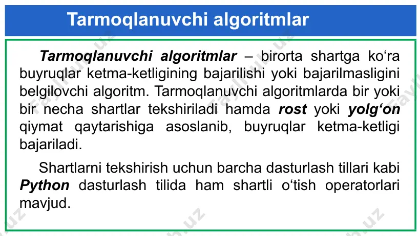 tarmoqlanuvchi algoritmlarni dasturlash. if…else operatori - Page 4