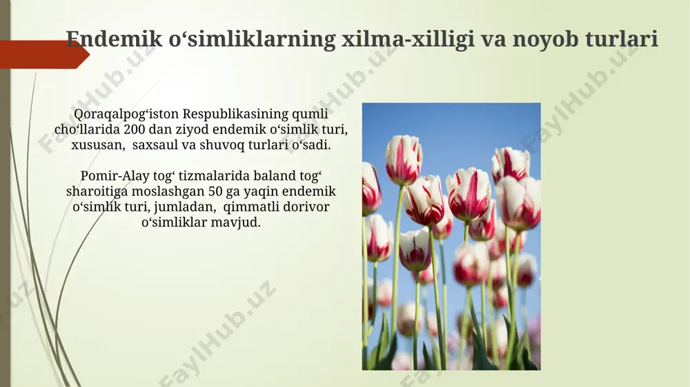 n ortiq endemik daraxt va butalar oʻrmonlarning kesilishi tufayli tahdid ostida. oʻzbekistonning turli hududlaridagi endemik flora qoraqalpogʻistonning choʻl zonasida 100 dan ortiq endemik oʻsimlik turi, jumladan, tuzli yerlarda oʻsadigan halofitlar oilasiga mansub noyob turlar mavjud. fargʻona vodiysining togʻli hududlarida, taxminan 1500-2500 metr balandlikda, alp oʻsimliklari va 20 ga yaqin endemik gulli oʻsimlik turlarini uchratish mumkin. endemik oʻsimliklarni muhofaza qilish choralari toʻqayzorlarning 20% qismining yoʻqolishi endemik oʻsimliklarning 10% ga yaqinining yoʻq boʻlib ketish xavfini tugʻdiradi, shuning uchun ularning tiklanishi va muhofazasi boʻyicha 5 yillik milliy dastur ishlab chiqilishi kerak. oʻzbekistonning 1500 dan ortiq endemik oʻsimlik turlarini saqlab qolish uchun 5 ta yangi qoʻriqxona, jumladan, qashqadaryo viloyatidagi “boysun-qoʻshtepa” davlat tabiat qoʻriqxonasi tashkil etilishi rejalashtirilgan. endemik oʻsimliklarning ekologik ahamiyati oʻzbekistonning 1500 dan ortiq endemik oʻsimlik turi, jumladan, pamir-alay togʻlaridagi noyob turlari, tuproq eroziyasini oldini olishda muhim rol oʻynaydi. taxminan 200 ga yaqin endemik oʻsimlik turi, fargʻona vodiysida, biologik xilma-xillikni saqlashda, hasharotlar va boshqa …