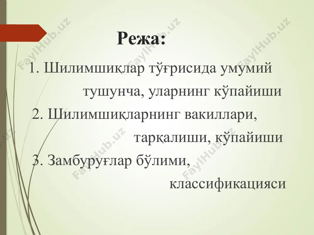 биғи парчаланиб, ичидан қорамтир микроскопик майда, чанг тўзон каби споралар чиқиб тарқайди. споралар қулай шароитга, яъни сувли, нам ерга тушиши билан бир ёки икки хивчинли зооспораларга айланади. бирмунча вақт ўтгандан кейин зооспоралар хивчинини йўқотиб, бир ядроли протоплазма уюми - амёбоид ёки миксоамёбага айланади. миксоамёбаларнинг ҳужайралари ёлғон оёқлар чиқариб, силжийди ва бир - бири билан қўшилади ва кўп ядроли умумий плазмадий ёки вегетатив тана вужудга келади. плазмадий етилгандан сўнг, яна споралар ҳосил қилишга ўтади. шилимшиқларнинг кўпчилиги сапрофит бўлиб, чириётган ўсимлик қолдиқларида, тўнкаларда, эски дарахт қобиқларида ва зах ерларда, ўсимлик пўстлоқларида яшайди. ликогала (lycogala) плазмодийси ва меватанаси қизил рангли. тухумсимон спорангийси тўда - тўда бўлиб жойлашади. ликогала (lycogala) эталийсининг ранги споралар етилганда пушти қўнғир рангга киради. перидий (қобиқ) юпқалашади ва жуда осонлик билан ёрилиб, споралар отилиб чиқади. эталий ичида сохта капилиций (спиралсимон ипчалар) бўлиб, унинг шакли шохланган ипга ўхшайди. ликогала (lycogala) ҳам тўнкаларда, чириётган дарахт таналарида, ердаги ўсимлик чириндиларида яшайди. а - …