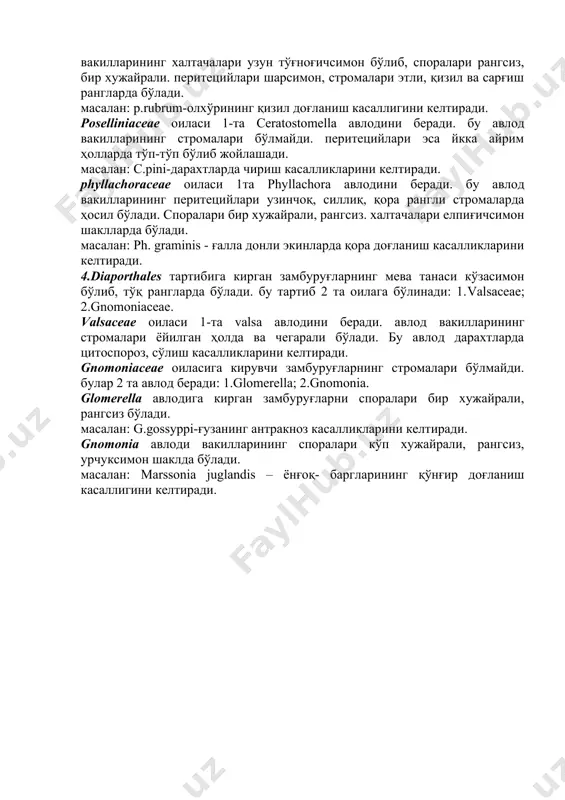 1.glomerella; 2.gnomonia. glomerella авлодига кирган замбуруғларни споралари бир хужайрали, рангсиз бўлади. масалан: g.gossyppi-ғузанинг антракноз касалликларини келтиради. gnomonia авлоди вакилларининг споралари кўп хужайрали, рангсиз, урчуксимон шаклда бўлади. масалан: marssonia juglandis – ёнғоқ- баргларининг қўнғир доғланиш касаллигини келтиради.