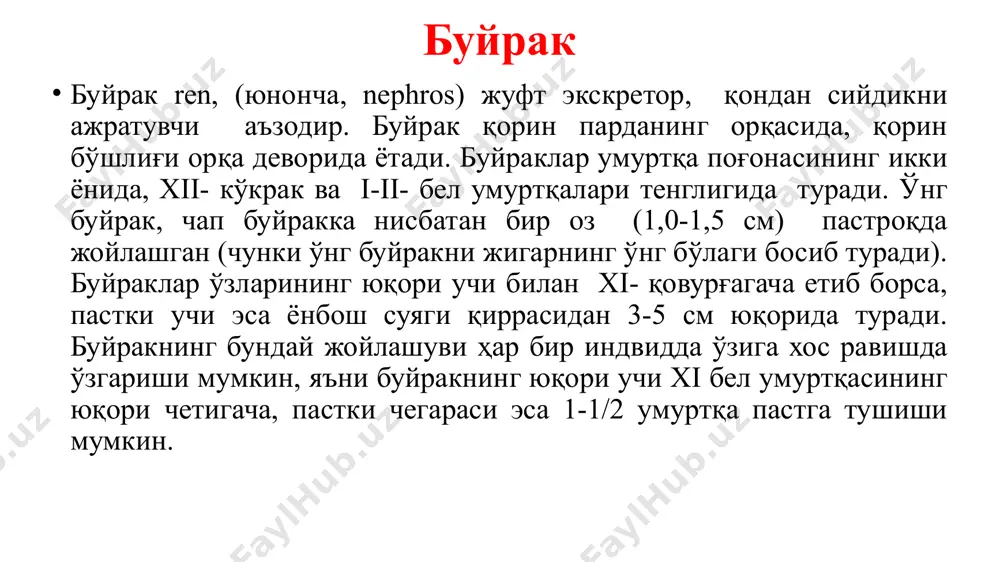 и – жигар томонидан босим туфайли пастроқда. чап буйрак xi кўкрак умуртқасидан ii белгача; ўнгдаги - xii кўкрак ва iii бел умуртқалари сатҳида. рентгенограммада: xii қовурға ўнг буйракни юқори қутбидан, чапдагини эса ўртасидан кесиб ўтади. бел чоҳасининг қорин бўшлиғи томонидан кўриниши. қоринпарда орқа варағи орқасида жойлашган аъзолар: буйраклар, сийдик йўллари, қорин аортаси, қисман тос аъзолари; чамбар ичакнинг қоринпардадан ташқари қисми. буйрак пардалари буйрак ўзининг хусусий фиброз пардаси, capsula fibrosa билан ўралган. бу парда юпқа бўлиб, буйрак паренхимасига тегиб туради. буйрак дарвозасидан ташқари юзалардан уни ажратиш осон. буйракнинг фиброз пардасидан ташқарида ёғ клетчаткаси бўлиб, уни буйракнинг ёғ капсуласи capsula adiposa renis дейилади. у буйрак дарвозаси ва орқа юза томонларида яхши ривожланган. буйракнинг ёғ капсуласидан ташқарисида унинг қўшувчи тўқимадан иборат фасцияси fascia renalis бўлиб, ўзининг толалари билан буйракнинг фиброз капсуласи билан боғланган. буйрак фасцияси икки вараққа ажралади. улардан бири буйракнинг олд томондан ўтса, иккинчиси орқа томонидан ўтади. буйракнинг латерал томонидан иккала фасция …