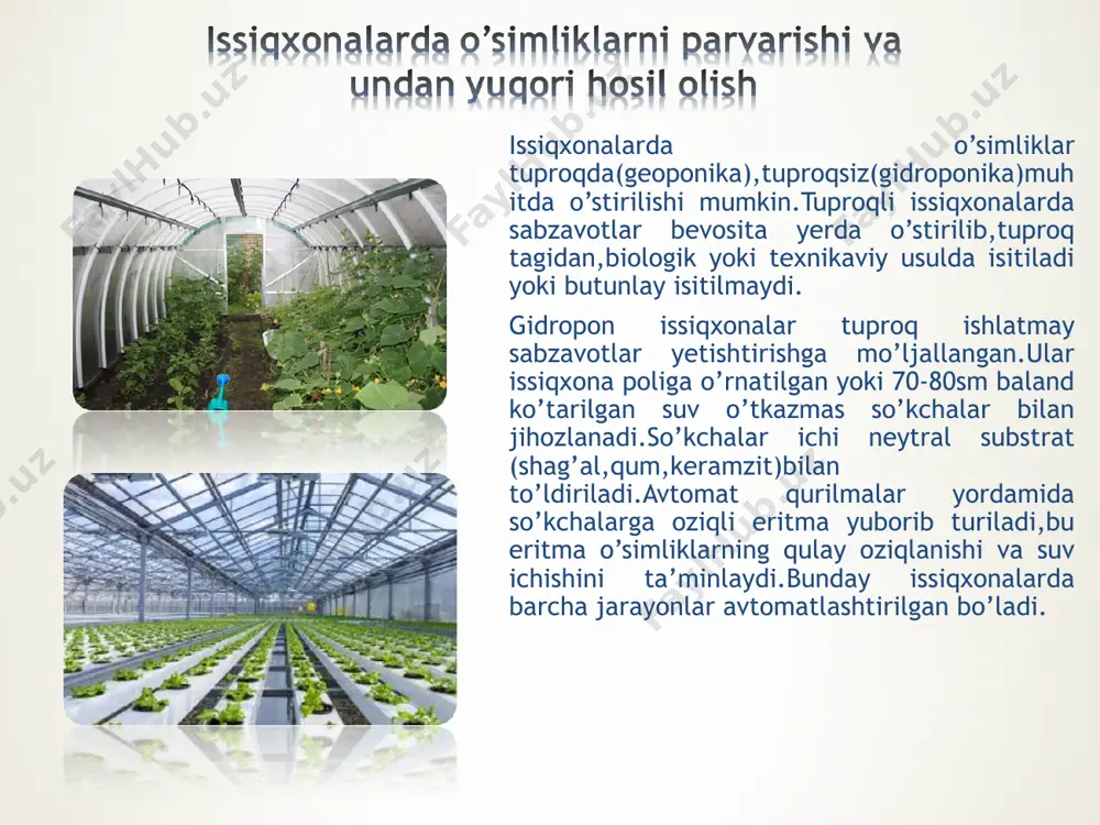 gidroponika va issiqxonalarda o’simliklar parvarishi - Page 5