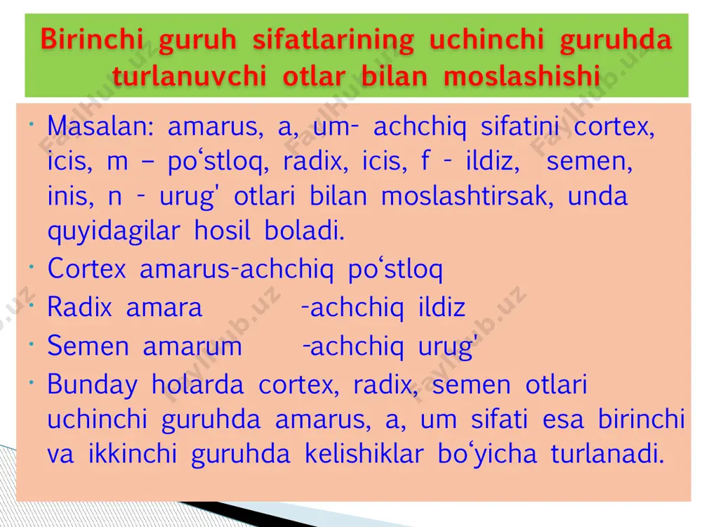 moslashgan aniqlovchi ishtirokida atamalar 2 - Page 5