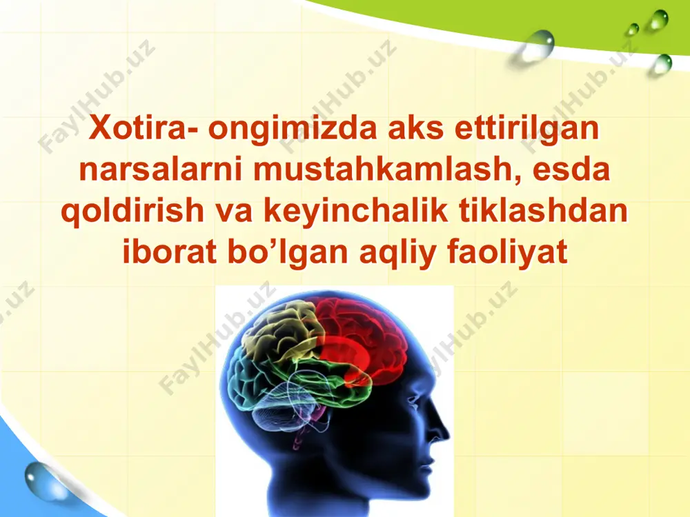 xotira turlari va uning jarayonlari - Page 3