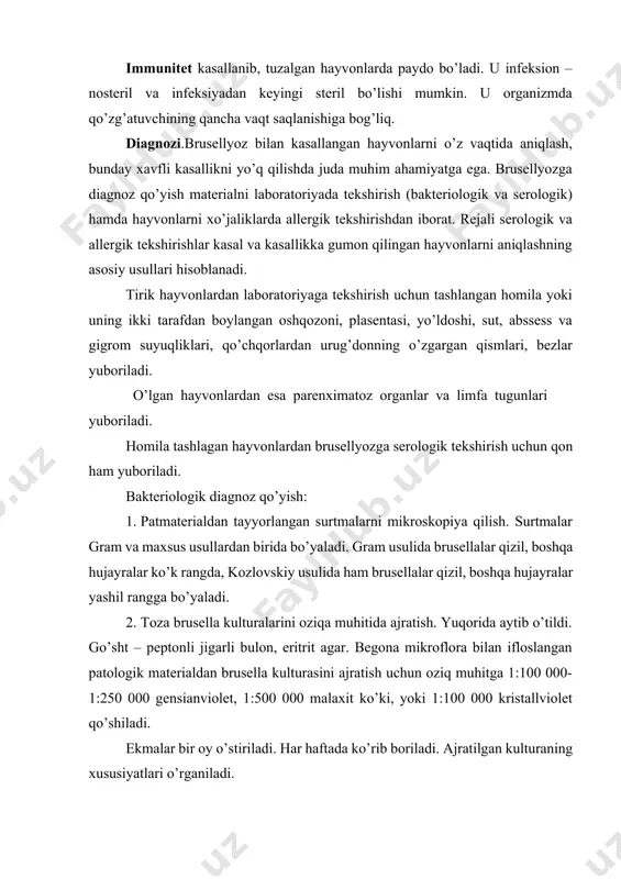 muhitida ajratish. yuqorida aytib o’tildi. go’sht – peptonli jigarli bulon, eritrit agar. begona mikroflora bilan ifloslangan patologik materialdan brusella kulturasini ajratish uchun oziq muhitga 1:100 000-1:250 000 gensianviolet, 1:500 000 malaxit ko’ki, yoki 1:100 000 kristallviolet qo’shiladi. ekmalar bir oy o’stiriladi. har haftada ko’rib boriladi. ajratilgan kulturaning xususiyatlari o’rganiladi. 3. biosinov 350 - 400 - gramm vaznli dengiz cho’chqalari yuragidan qon olinib zardobi ra usulida brusellyozga tekshiriladi. 1 : 5 nisbatda manfiy natija olinsagina ularda biosinov qo’yish mumkin. keltirilgan patmaterialdan 1:10 nisbatda suspenziya tayyorlanib, 1 ml dozada dengiz cho’chqalari sonining ich tarafiga terisi ostiga yuboriladi. gigroma moddasi esa dengiz cho’chqalariga 0,2 – 0,3 ml dozada teri ostiga yuborib zararlanadi. zararlantirilgandan keyin 15, 25, 40 chi kunlari dengiz cho’chqalaridan 1 – 2 ml qon olinib, zardobi ra usulida 1:10 dan 1:80 nisbatgacha brusellyozga tekshiriladi. biosinovdagi dengiz cho’chqalarida brusellalarning sof kulturasi ajratilsa yoki qon zardobida ra 1:10 va undan yuqori nisbatlarda musbat …