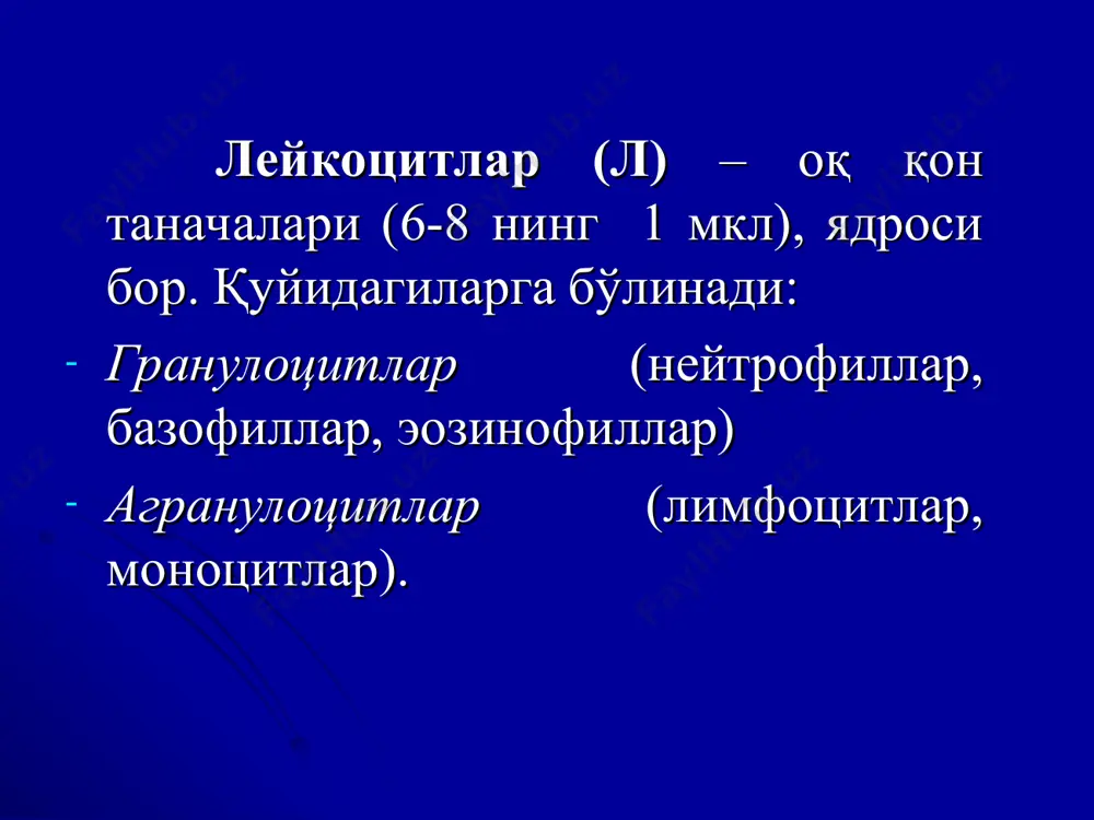 рисимон безда ва суяк кўмигида ҳосил бўлади. моноцитлар (мононуклеар система) кўплаб фагоцитларни ўз ичига олади ва қуйидаги вазифаларни бажаради: секретор, фагоцитоз, цитотоксик, резорбция, пролиферация, гемокоагуляция, фибрино-лиз, модда алмашинувида, иммунитет ҳосил бўлишида. лимфоцитлар (30%; 1012 ; 1,5 кг.) 2 кундан то 20 йилгача яшайди иммун тизимнинг марказий звеноси ҳисобланади. улар «ўзиники» ва «ёт» ни фарқлайди. 3гр лимфоцитлар маълум : 1) т - лимфоцитлар (70%) киллерлар - «қотил» супрессорлар – тўхтатади «в»l иммун хотира амплифайерлар - киллерларни активлайди. 2) в - лимфоцитлар (25%) гуморал иммунитет ҳосил қилади. специфик 3) «о» лимфоцитлар (15%) - т ва в лимфоцитларга айланади. қон гурухлари 1901й. к. ландштейнер томонидан аниқланган ва 1930й. нобел мукофотига сазовор бўлган. 250 тагача эритроцитлар қисман лейкоцитлар, тромбоцитлар, қон хужайралари антиген гурухлари аниқланган. 15га яқин эритроцитлар гурух системалари аниқланган, ҳар бири 2-6 гурухдан иборат. гурух антигенлари - қоннинг туғма хоссаси бўлиб хаёт даври давомида ўзгармайди. ҳамма антигенлар антитела ҳосил бўлишини чақиради. туғма - …