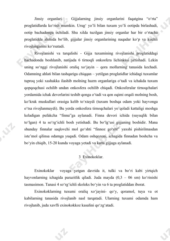ni yem-xashak orqali yutib yuboradi. tuxumdan chiqqan onkosfera qon bilan harakat qilib hayvonning ichki organlarida jigarda “finna” (exinokok) pufagi hosil qiladi. suyuqlik bilan tо‘lgan va qalin pardadan iborat bu pufak ichidan kurtaklanib bir nechta yosh pufakchalar yetishadi. bularning ba’zilarida 3-4 tadan bо‘lg‘usi chuvalchang bо‘ladi. exinokok pufagi olmadek, futbol tо‘pidek, hatto tarvuzdek undan katta ham bо‘lishi mumkin, ba’zi mollarda 60 kg og‘irlikkacha о‘sadi. bundan tashqari tasmasimon chuvalchanglarni chо‘chqa gijjasi, serbar gijja, qо‘y miyachaisi, kamar chuvalchang (ligula), pakana gijja kabi turlari odam va hayvonlarda parazitlik qilib turli kasalliklarni keltirib chiqaradi. bularga qarshi profilaktika choralarini qо‘llash maqsadga muvofiq bо‘ladi. 4.yassi chuvalchanglarni kelib chiqishi va evolyusiyasi. kо‘pchilik zoologlar, jumladan, graf va atoqli rus zoologi v. n. beklemishevning aniqlashicha turbellariyalar sinfining vakllari о‘rtasida dengizda yashovchi ichaksiz kiprikli chuvalchanglar eng sodda tuzilgani hisoblanadi. mazkur olimlar kipriklilarning taroqlilarga о‘xshashligini aniqladilar. ularning fikricha taroqlilar va ichaksiz turbellariya kovak ichaklilarning qadimgi planula tipidagi kiprikli avlodlaridan payda bо‘lgan (i. i. …