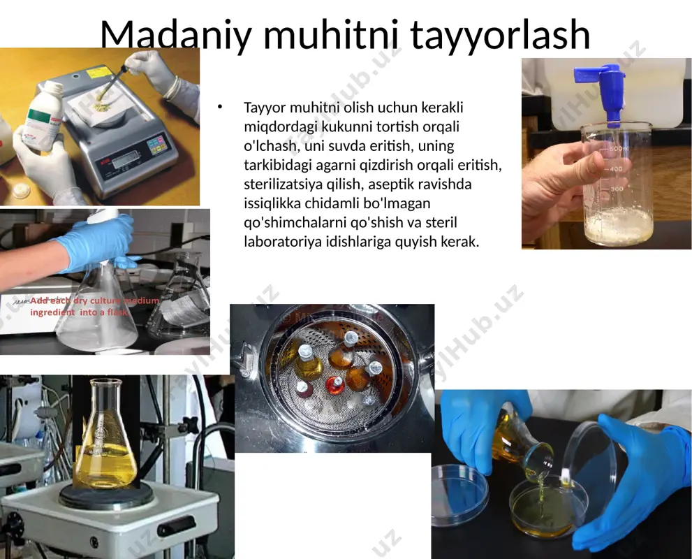 yat vositalarining asosini tashkil qilishi mumkin differensial diagnostika muhitlari substrat va indikatorni o'z ichiga olgan muhit - bakteriyalarning tegishli substratlardan foydalanish qobiliyatini aniqlash imkonini beradi. uglevodlar (masalan, saxaroza, laktoza, arabinoza) yoki ko'p atomli spirtlar ( sorbitol , mannitol , inositol ) yakuniy mahsulot sifatida organik kislotalarni hosil qilish uchun fermentatsiya qilinishi mumkin. shuning uchun ularning energiya almashinuvida ishlatilishi atrof-muhitning boshqa substratlar (limon kislotasi, karbamid, arginin, ornitin, lizin), aksincha, bakteriyalar tomonidan parchalanganda ozuqa muhitining ishqorlanishiga olib kelishi mumkin. ph ning mos keladigan o'zgarishlari muhitga qo'shilgan indikator moddasi rangining o'zgarishiga olib keladi. hiss media (mpa, uglevodlar to'plami, indikator) mikroorganizmlarning sitratlardan foydalanish qobiliyatini aniqlash uchun simmons muhiti differensial diagnostika muhitlari xromogen substratli muhit – tarkibida bakterial fermentlar ta’sirida parchalanganda rangli mahsulotlar hosil qiluvchi moddalar mavjud (masalan, x-glyuk beta-glyukuronidazalar ta’sirida parchalanib, ko‘k rangli pigment hosil qiladi). operatsion printsipi kerakli mikroorganizmlarda yuqori o'ziga xos fermentlarni aniqlashga asoslangan. bunday fermentlarga, masalan, escherichia coli beta-d-glyukuronidaza yoki enterokokk …