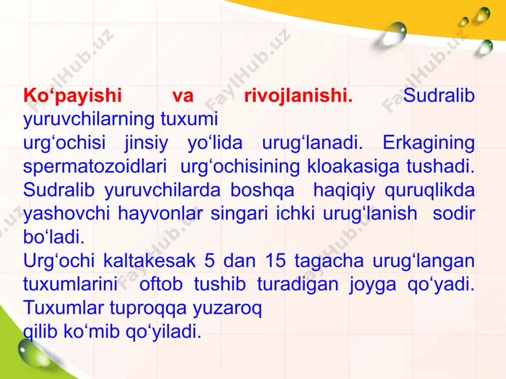 sudralib yuruvchilar - Page 5