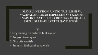 neyronning tuzilishi va vazifalari — PPT