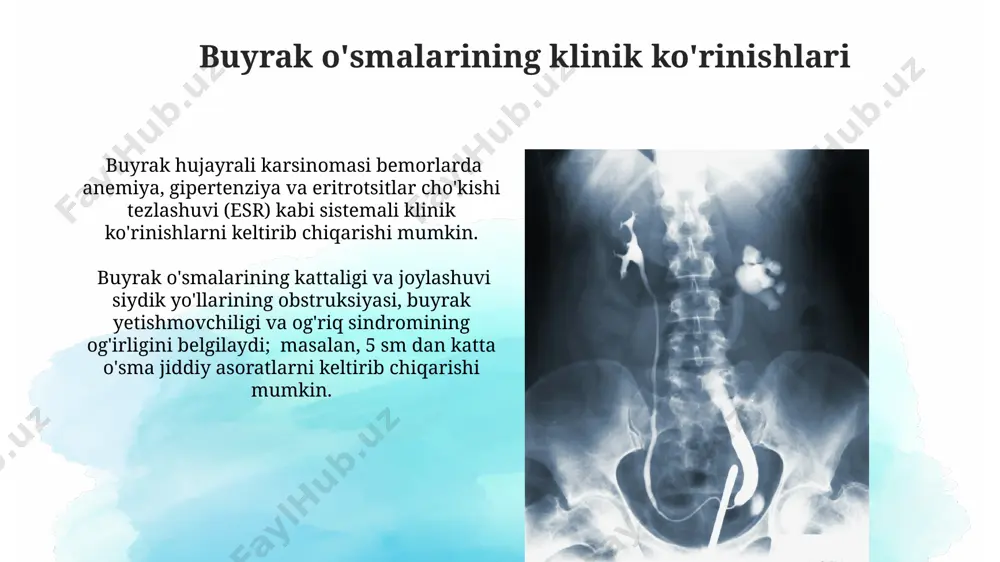 buyrak klirensi - Page 4