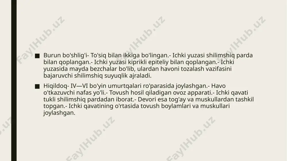 nafas olish tizimi a'zolarining qiyosiy gistalogik tavsifi - Page 5