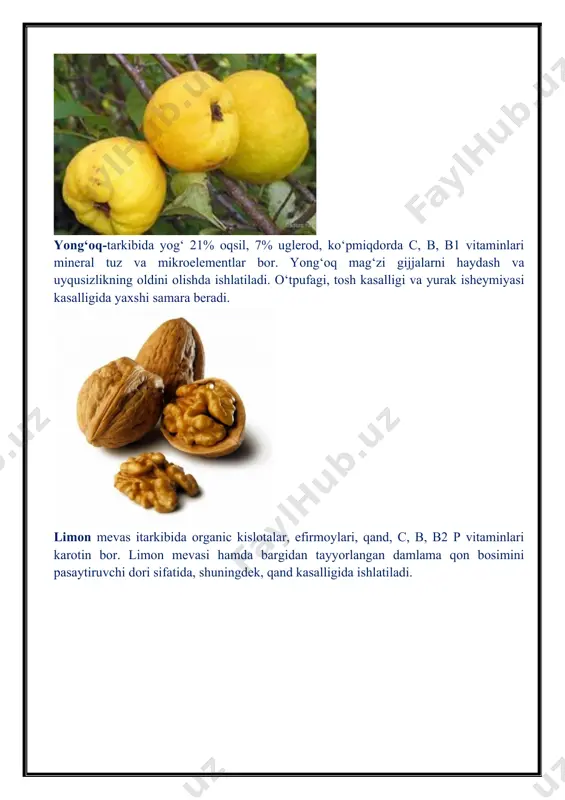 "tabiatning o‘zi tabib" tadbiri - Page 5