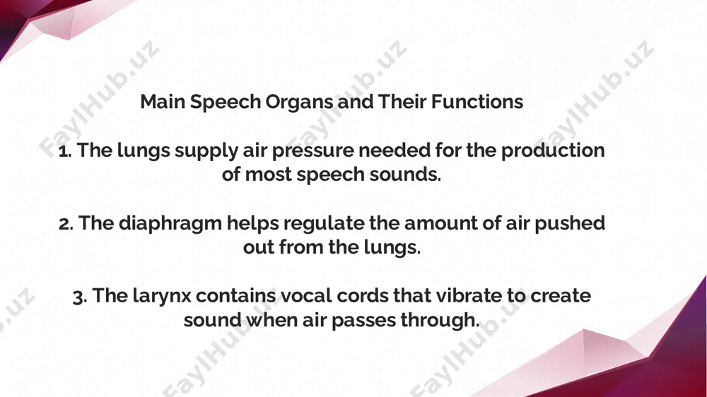 speech organs and their functions - Page 5