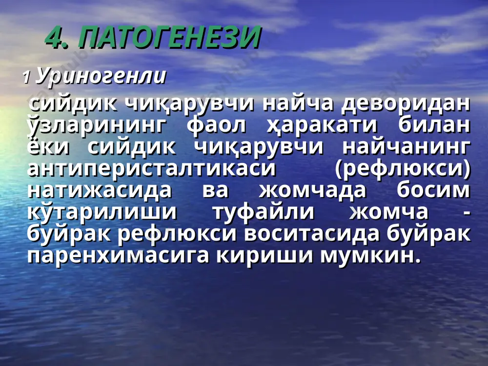 пиелонефритлар - Page 4