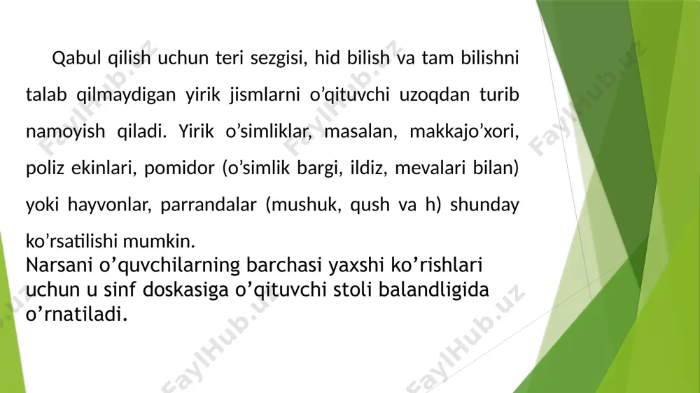 tabiatshunoslik fanidan sunʼiy ko‘rgazmali qurollar - Page 5