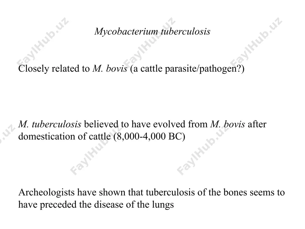 mycobacterium species - Page 5