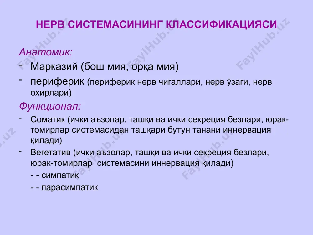 .png image16.png image17.png /docprops/thumbnail.jpeg