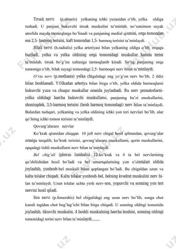 ar hamda terini ta’minlab, tirsak bo’g’im xaltasiga tarmoqlanib kiradi. so’ng panjaning orqa tomoniga o’tib, bilak suyagi tomondagi 2,5- barmoqni nerv bilan ta’minlaydi. o’rta nerv (p.medianis) yelka chigalidagi eng yo’g’on nerv bo’lib, 2 ildiz bilan boshlanadi. yolkadan arteriya bilan birga o’tib, yelka oldida barmoqlarni bukuvchi yuza va chuqur muskullar orasida joylashadi. bu nerv pronatorlarni- yelka oldidagi barcha bukuvchi muskullarni, panjaning ba’zi muskullarini, shuningdek, 3,5-barmoq terisini (bosh barmoq tomondagi) nerv bilan ta’minlaydi. bulardan tashqari, yelkaning va yelka oldining ichki yon teri nervlari bo’lib, ular qo’lning ichki tomon terisini ta’minlaydi. qovurg’alararo nervlar ko’krak qismidan chiqqan 10 juft nerv chigal hosil qilmasdan, qovurg’alar orasiga tarqalib, ko’krak terisini, qovurg’alararo muskullarni, qorin muskullarini, opqadagi tishli muskullarni nerv bilan ta’minlaydi. bel chig’ali (plexus lumbalis) 12-ko’krak va 4 ta bel nervlarining qo’shilishidan hosil bo’ladi va bel umurtqalarining yon o’simtalari oldida joylashib, yonbosh-bel muskuli bilan qoplangan bo’ladi. bu chigaldan uzun va kalta tolalar chiqadi. kalta tolalar yonbosh-bel, belning kvadrat …
