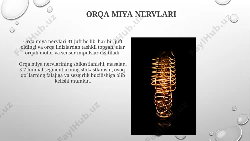 arajali tizimdan iborat bo'lib, to'liq shikastlanishdan to'liq tiklanishigacha bo'lgan holatlarni aks ettiradi. orqa miya shikastlanishi natijasida 1000 dan ortiq neyronlar shikastlanishi mumkin, bu esa harakatlanish, sezuvchanlik va boshqa funksiyalarni buzilishiga olib keladi. orqa miya infektsiyalari orqa miya infektsiyalarining diagnostikasi miya omurilik suyuqligʻini tahlil qilish orqali amalga oshiriladi, bu yuqumli agentlarni aniqlashga yordam beradi, va davolash antibakterial yoki antiviral preparatlarni qoʻllashni oʻz ichiga oladi. spinal infektsiyalar, oʻtkir boshlanishi bilan xarakterlanadi, odatda yuqori harorat, bosh ogʻrigʻi, boʻyin qotishi va neyrologik nuqsonlar bilan namoyon boʻladi, tezyordam chaqirishni talab qiladi. e'tiboringiz uchun rahmat @taqdimot_robot image3.png image4.jpg image5.jpg image6.jpg image7.jpg image8.jpg image9.jpg image10.jpg image11.jpg image12.jpg image13.jpg image14.jpg image15.jpg image16.jpg image17.jpg image18.jpg image19.jpg image20.jpg image1.png