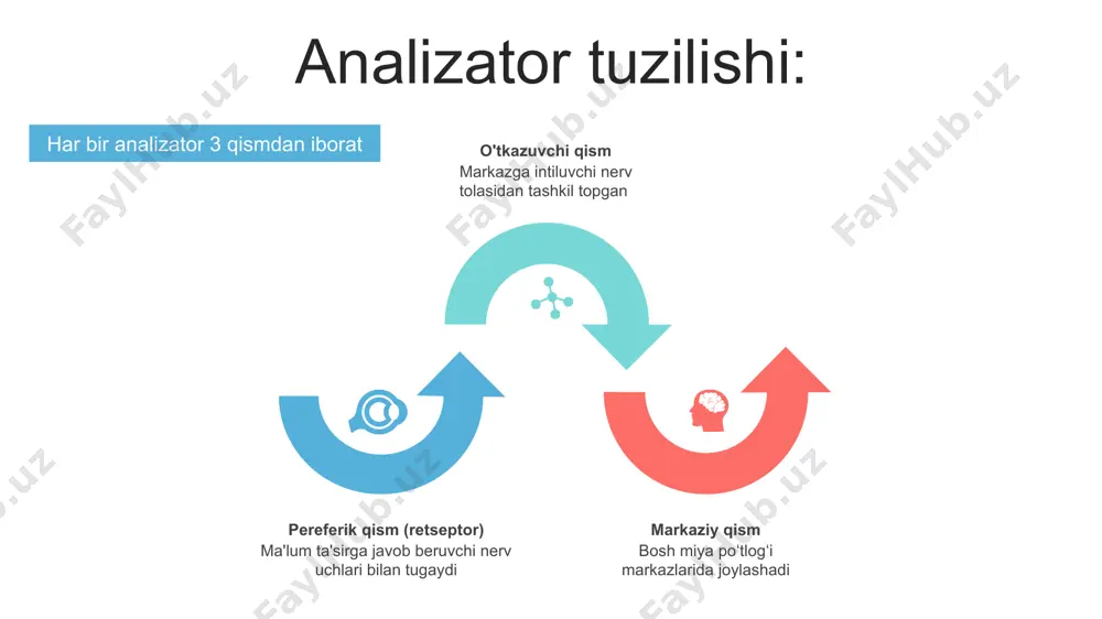 indirish kuchi 43d, gavharing nur sindirish kuchi kamroq bo`lib, o`zgarib turadi. ko`zning butun optik sistemasini nur sindirish kuchi uzoqka qaraganda 58d yaqin masofada esa — 70d. shox parda, gavhar orqali sariq dog` markaziga o`tgan chiziqqa ko`ruv o`qi deb ataladi. narsalarning tasviri to`r pardaga kichkina va teskari bo`lib tushadi. narsa ko`zdan qancha narida tursa, to`r pardadagi tasviri shuncha kichik bo`ladi va aksincha narsa ko`zga qancha yaqinroq tursa to`r pardadagi tasvir o`shancha katta bo`ladi. narsalarning tabiiy ravishda ko`rilishi hayot tajribasiga bog`liq. koʻz akkomodatsiyasi akkomodatsiya ko`zning moslanishi bo`lib ya'ni ko`zning uzoqni va yaqinni ko`rishini ta'minlaydi. ko`z akkomodatsiyasi ko`z soqqasini harakatga keltiruvchi nervini parasimpatik tolalari bilan ta'minlangan kipriksimon muskullarni reflektor qisqarishi natijasida gavharni elastikligi o`zgarishi bilan vujudga keladi. odam yaqindan narsalarga qaraganda gavhar qavariqroq bo`ladi, uzoqdan narsalarga qaraganda esa yassiroq bo`ladi. ko’rish o’tkirligi. ikkita buyum bir-biriga qo’shilib ketmasdan ular oralig’idagi eng kichik masofa bilan belgilanadi. ko’rish o’tkirligi maxsus golovin jadvali yordamida aniqlaniladi. ko`zning ko`rish …