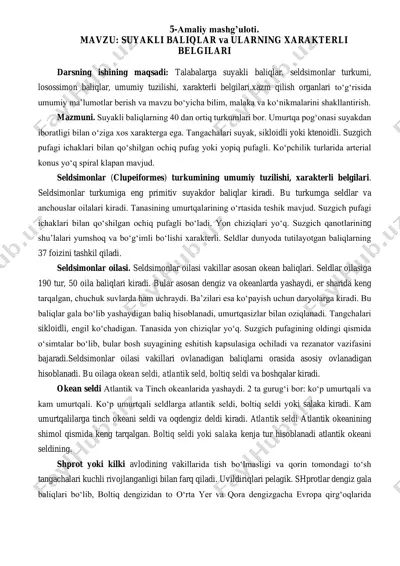seldsimonlar — PDF