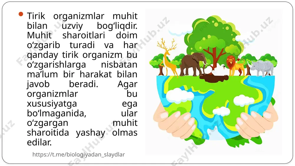 ni tahlil qilinadi: avval olingan axborotlar bilan taqqoslanadi, xotiraga saqlanadi, ko‘rsatma qabul qilinadi. harakatlantiruvchi nervlar esa bu ko‘rsatmani nerv impulslari tarzida organlar va muskullarga yetkazadi. natijada muskullar qisqaradi. misol uchun, svetoforning qizil chirog‘i yonganini ko‘rganingiz zahoti miya harakatni to‘xtatish haqida oyoq mushaklariga impuls jo‘natadi. beixtiyor issiq jismga tegib ketsangiz, og‘riqni sezgan zahoti darhol qo‘lingizni tortib olasiz. xo‘sh, shu qisqa vaqt ichida nima sodir bo‘ldi? teridagi sezuvchi nervlar orqali og‘riq haqida markaziy nerv sistemasiga impuls yetkaziladi va shu zahoti qo‘lni tortib olish haqidagi ko‘rsatma harakatlantiruvchi nervlar orqali muskullarga yetib keladi. natijada muskullar qisqarib, siz qo‘lingizni issiq jismdan tortib olasiz. bu organizmning ta’sirotga nisbatan javob reaksiyasi, ya’ni refleksdir. https://t.me/biologiyadan_slaydlar tropizm o‘simliklarning ta’sirlanishi. o‘simliklarda sezgi organlari va nerv sistemasi mavjud emas. shunga qaramay, ular ta’sirlanish xususiyatini namoyon qiladilar. turli ta’sirotlarga javoban o‘simlik organlari (ildiz, poya, barglar) o‘sish yo‘nalishini o‘zgartirishi mumkin. o‘simliklarda ta’sirlanishning bu turi tropizm deyiladi. masalan, novda yorug‘lik tomonga o‘sadi. novdaning bu …