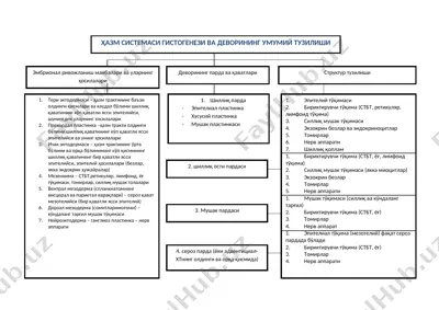 ҳазм системаси гистогенези ва деворининг умумий тузилиши — DOC