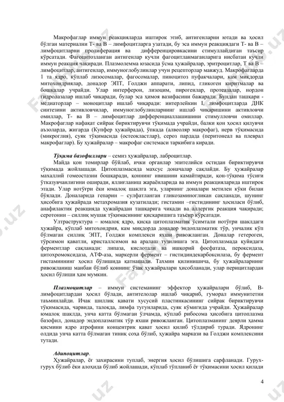 ар. бириктирувчи тўқима ҳужайралари ичида энг кўп учрайдигани бўлиб, ҳужайралараро модда компонентлари – фибрилляр оқсиллар (коллаген, эластин) ва гликозаминогликанларни синтезлайди. бу ҳужайралар мезенхимал келиб чиқишга эга. уларни етилиш даражасига кўра (кам дифференциаллашган, дифференциаллашган, фиброцитлар), бундан ташқари миофибробластлар, фиброкластлар турлари мавжуд. фибробластлар ҳужайралараро моддани синтез қилиш хусусиятига кўра, жароҳатлар битишида, чандиқ тўқима ҳосил бўлишида, ёт модда атрофида капсула ҳосил қилишда ва бошқаларда иштирок этади. 1. дифференциаллашмаган фибробластлар – (эмбрионал даврда мезенхимадан, постнатал даврда перицитлардан ривожланади). кам ўсимтали, эркин рибосомаларга, эпт ва кам ривожланган митохондрияга эга, митоз йўли билан бўлинади. 2. етук фибробластлар – йирик (40-50 мкм), нотўғри шаклга эга, яхши ривожланган донадор эпт ва голджи аппаратига эга. чекка қисмларида микрофиламентлар (актин ва миозин) мавжуд. коллагеназа ферменти сақлайди, проколлаген гликозаминогликанлар, проэластин ишлаб чиқаради. плазматик мембрананинг бутун юзаси бўйлаб секреция қилади. 3. фиброцитлар – дуксимон шаклли, органеллари кам ва бўлинмаслик хусусиятига эга. 4. миофибробластлар – маълум бир шароитларда фибробластлардан ҳосил бўлади, силлиқ мушак …