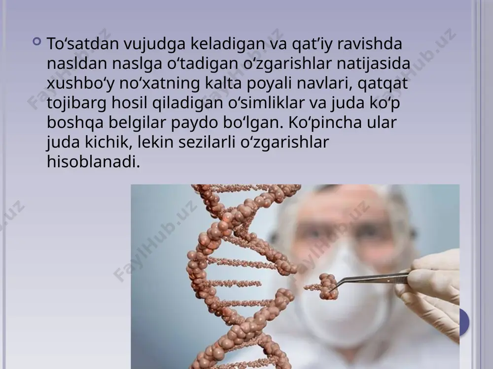 arqalgan. kariotipda xromosomalar sonining ko‘payishi bilan organizmning genetik barqarorligi ortadi, mutatsiya jarayonida hayotchanlikning pasayishi xavfi kamayadi. poliploidiya organizmlarning hayotchanligi, mahsuldorligi va boshqa xususiyatlarini oshiradi. o‘simlikshunoslikda poliploidiyadan keng foydalani ladi. chunki madaniy o‘simliklarning sun’iy olingan poliploid navlari yuqori hosildorligi bilan farqlanadi mutatsiya xususiyatlari. mutatsiyalar irsiyat bilan bog‘liq, ya’ni ular nasldan­naslga o‘tadi. bitta mutatsiyaning o‘zi bir turga mansub bo‘lgan har xil organizmlarda paydo bo‘lishi mumkin. mutatsiyalar ta’sir doirasiga qarab foydali va zararli, dominant hamda retsessiv bo‘ladi. genlarning muhim xususiyatlaridan biri — mutatsiyalar hosil qilishdir. dastlab irsiy o‘zgarishlar tezligini birdaniga oshirish rentgen nurlari ta’sirida amalga oshirilgan. rentgen nurlari ta’sirida mutatsiyalar paydo bo‘lishini 150 marta oshirishga erishildi. rentgen va boshqa ionlantiruvchi radiatsiya nurlaridan tashqari, mutatsiyalar kimyoviy moddalar ta’sirida ham hosil bo‘lishi mumkin. moddalar almashinuvi jarayoniga, ayniqsa, dnk sinteziga ta’sir qiluvchi omillar mutatsion jarayonga ham ta’sir qiladi. sun’iy yo‘l bilan hosil qilinadigan mutatsiyalar amaliy ahamiyatga ega bo‘ladi, chunki ular tur yoki populatsiya ichidagi genetik xilma­xillikni …