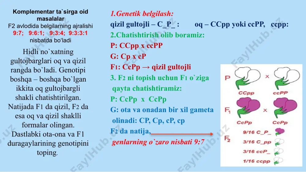 noallel genlarning o‘zaro ta`siri - Page 4