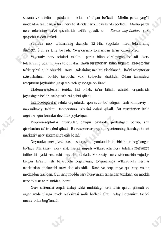 adi. somatik nerv tolalarining diametri 12-14h, vegetativ nerv tolalarining diametri 2-7h ga teng bo’ladi. yo’g’on nerv tolalaridan ta’sir tezroq o’tadi. vegetativ nerv tolalari mielin parda bilan o’ralmagan bo’ladi. nerv tolalarining uchi hujayra to’qimalar ichida reseptorlar bilan tugaydi. reseptorlar ta’sir qabul qilib oluvchi nerv tolasining uchlari xisoblanadi. ba’zi reseptorlar ixtisoslashgan bo’lib, tayoqcha yoki kolbacha shaklida. odam tanasidagi reseptorlar joylashishiga qarab, uch gruppaga bo’linadi: eksteroreseptorlar terida, hid bilish, ta’m bilish, eshitish organlarida joylashgan bo’lib, tashqi ta’sirni qabul qiladi. interoreseptorlar ichiki organlarda, qon sodir bo’ladigan turli ximiyaviy – mexanikaviy ta’sirni, temperatura ta’sirini qabul qiladi. bu reseptorlar ichki organlar, qon tomirlar devorida joylashgan. proprioreseptorlar muskullar, chuqur paylarda joylashgan bo’lib, shu qismlardan ta’sir qabul qiladi. bu reseptorlar orqali organizmning fazodagi holati markaziy nerv sistemasiga etib boradi. neyronlar nerv plastinkasi – sinapslar yordamida bir-biri bilan bog’langan bo’ladi. markaziy nerv sistemasiga impuls o’tkazuvchi nerv tolalari markazga intiluvchi yoki sezuvchi nerv deb atialadi. markaziy nerv sistemasida vujudga kelgan …