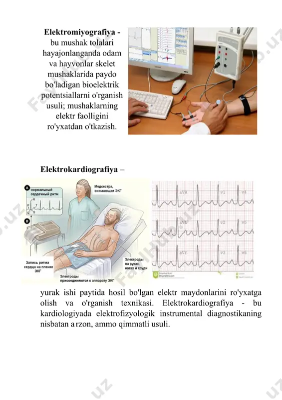qimalarida) to'xtagan pozitronni yo'q qilish, muhit elektronlaridan biri bilan bitta to'g'ri chiziq bo'ylab qarama-qarshi yo'nalishlarga tarqalib, bir xil energiyaga ega bo'lgan ikkita gamma kvant hosil qiladi. o'rganilayotgan ob'ekt atrofida joylashgan detektorlarning katta to'plami va ulardagi signallarni kompyuterda qayta ishlash skaner qilingan ob'ektda radionuklid taqsimotining uch o'lchovli rekonstruktsiyasini amalga oshirishga imkon beradi. deyarli har doim pet tekshiruvi kt yoki mrt skaneri bilan birlashtiriladi. funktsional magnit-rezonans tomografiya, funktsional mrt yoki fmrt (funktsional magnit-rezonans tomografiya) – bu miya yoki orqa miyaning asabiy faoliyati natijasida kelib chiqadigan gemodinamik reaktsiyalarni (qon oqimining o'zgarishini) o'lchash uchun amalga oshiriladigan magnit-rezonans tomografiya turi. ushbu usul miya qon oqimi va neyronlarning faolligi bog'liqligiga asoslanadi. miyaning bir sohasi faol bo'lganda, bu sohaga qon oqimi ham oshadi.