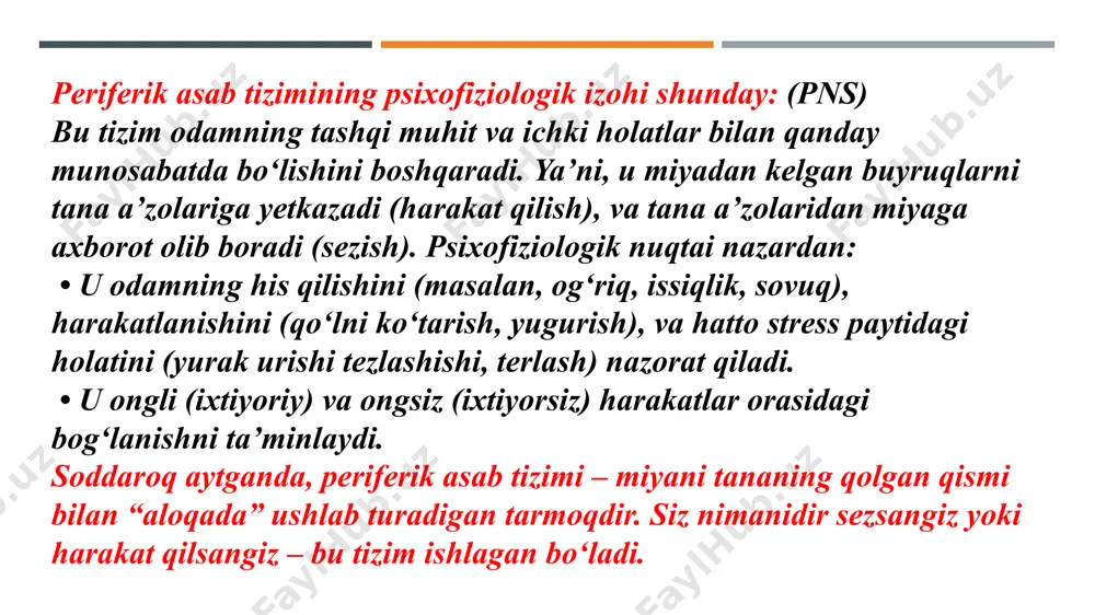 a qatnashadi. • ichki organlar bilan aloqa: qon bosimini nazorat qiluvchi baroreseptorlar bilan miyani bog‘laydi. psixofiziologik jihat: bu nerv ta’m sezgisi, yutish va ichki muvozanat (masalan, qon bosimi) orqali insonning ruhiy holatiga va tana reaktsiyalariga ta’sir qiladi. masalan, stress yoki qo‘rquv paytida tomoq qurib qolishi — bu nerv ishtirokida yuz beradi. образец текста нижнего колонтитула 20xx 20 baroretseptorlar — bu qon bosimini sezuvchi maxsus retseptorlar bo‘lib, yurak-qon tomir tizimi holatini doimiy nazorat qilib turadi. soddaroq aytganda: baroretseptorlar — bu qon bosimi oshganini yoki tushganini sezadigan “datchiklar”. ular asosan aorta va karotid arteriyalar (bo‘yin sohasida) devorlarida joylashgan. psixofiziologik izohi: • qon bosimi oshganda, baroretseptorlar bu haqida miyaga signal yuboradi. • miya esa vegetativ asab tizimi orqali yurak urishini sekinlashtiradi yoki qon tomirlarni kengaytiradi — qon bosimi me’yorga qaytadi. • bu tizim ruhiy holatlar bilan ham bog‘liq: stress, qo‘rquv yoki xursandchilik paytida qon bosimi o‘zgaradi, baroretseptorlar bunga darhol javob beradi. xulosa: baroretseptorlar …