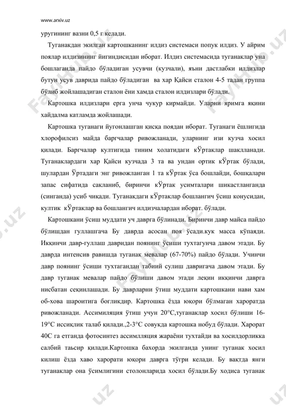 сакланади. шу сабабли узбекистон шароитида уруглик ишлари кийинлашади. картошка намга .угитга ва тупроқга талабчан ўсимлик. картошканинг навлари морфологик ва биологик белгилари билан фарк қилади. узбекистонда картошкани қуйидаги навлари экилади: акраб, зарафшан, лорх, тўйимли, пикассо, диамант, вольтман. 3.картошкани эқиш.-картошка бир ерда сурункасига экилса у сулиш касали билан касалланади. шунинг учун уни алмашлаб эқишда карам, бодринг, ковун, тарвуз хамда илдизмевалилардан кейин эқиш керак.ёзда экилганда кузги бугдой ва арпадан кейин экилиши керак. угитга талабчан тупроқ шароитига қараб бир гектар картошкага ўртача 100-120 кг азот 80-90 кг фосфор ва кам миқдорда 40-60кг калий бериш керак. угит эқишдан олдин ва ўсиш даврида берилади,уруглик катталиги жихатидан сараланган бўлиши керак. уругликни ўртача катталиги 60-70 г бўлиши керак. картошка 3 муддатда экилади: эртаги картошка февраль ойининг охири март ойининг бошларида. ўртаги картошка апрель ойида ва кечки картошка май ойининг охири июнь ойларининг бошларида экилади уруглик учун уни кечрок июнь ойининг охирида эқиш мумкин. картошка катор ораси 70 см, …