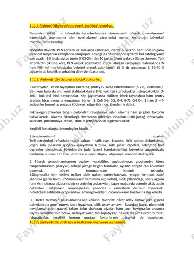 pielonefrit (pen) — DOCX